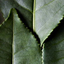 Load image into Gallery viewer, Eyeshadow