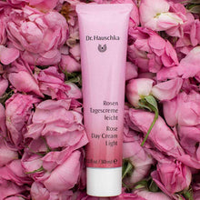 Load image into Gallery viewer, Rose Collection Rose Day Cream Light