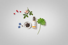 Load image into Gallery viewer, Soothing Day Lotion