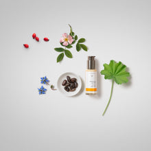 Load image into Gallery viewer, Soothing Day Lotion