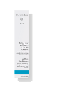Ice Plant Hand Cream