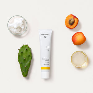 Face Sun Cream SPF 10
